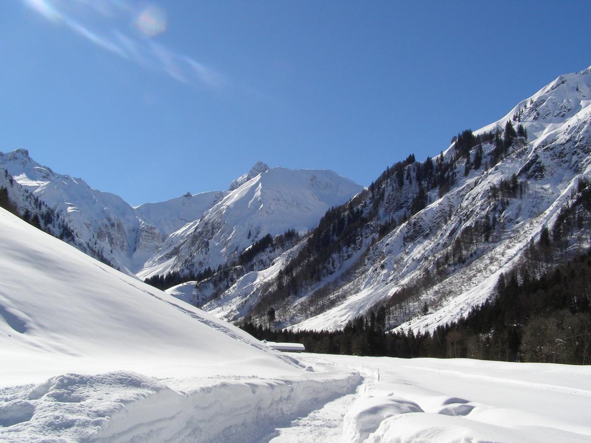 Landhaus Spielmannsau Oberstdorf Dış mekan fotoğraf