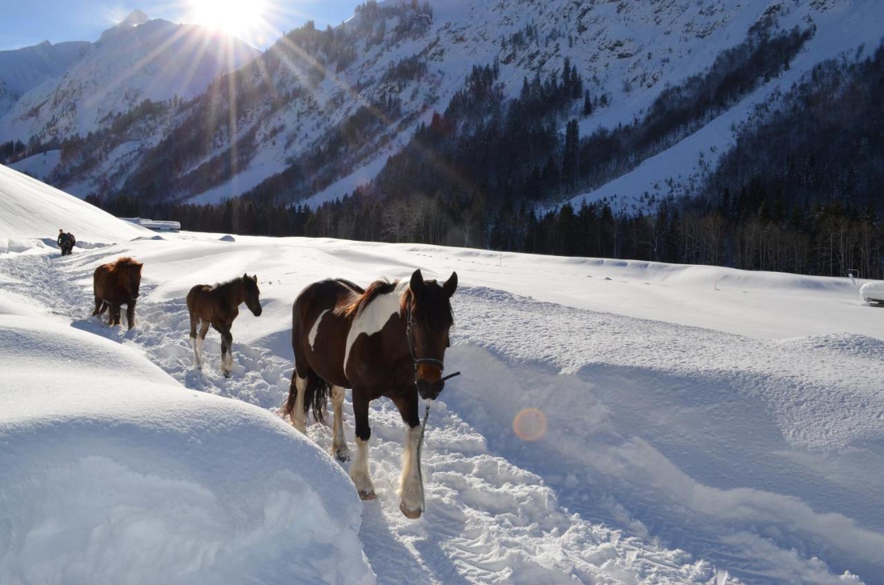 Landhaus Spielmannsau Oberstdorf Dış mekan fotoğraf